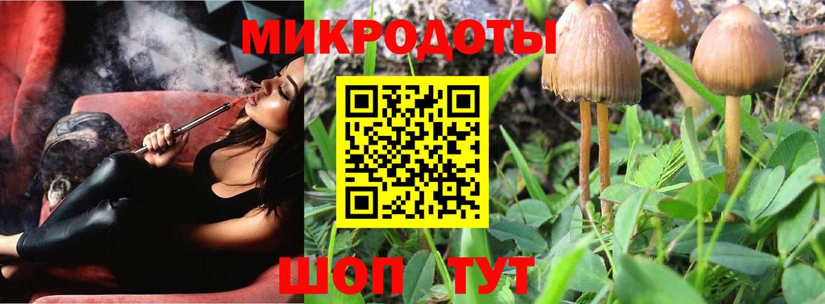 Галлюциногенные грибы Psilocybine cubensis  Вход с VPN  Назарово 
